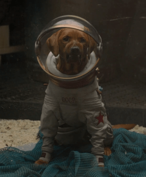 A brown dog in a space suit and space helmet appears to growl.