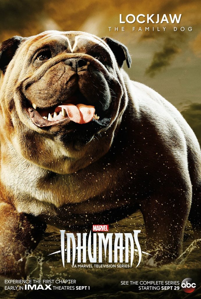 A giant bulldog with its tongue out on a poster for the Marvel TV show The Inhumans.